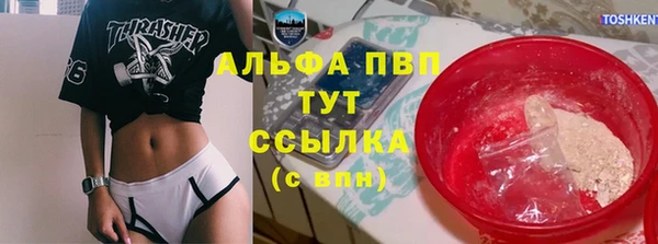 стафф Нефтекумск