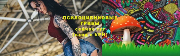 гидропоника Новодвинск
