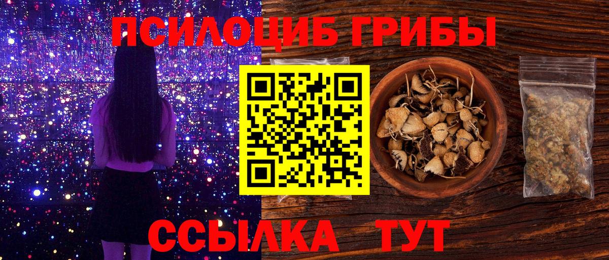 Псилоцибиновые грибы GOLDEN TEACHER Павлово