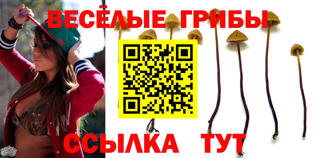 Псилоцибиновые грибы прущие грибы  Павлово 